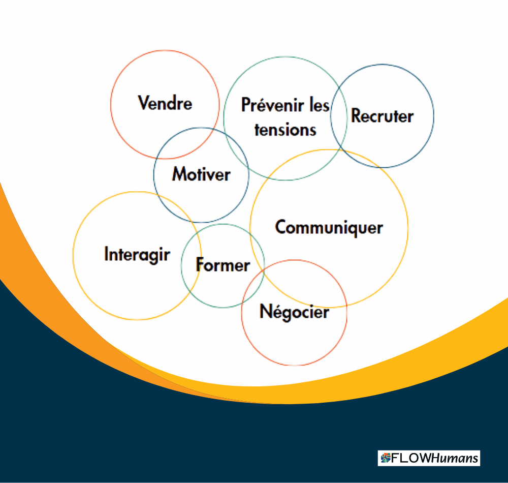Accompagnement individuel DISC autour de la vente, de la négociation, du management et des compétences relationnelles